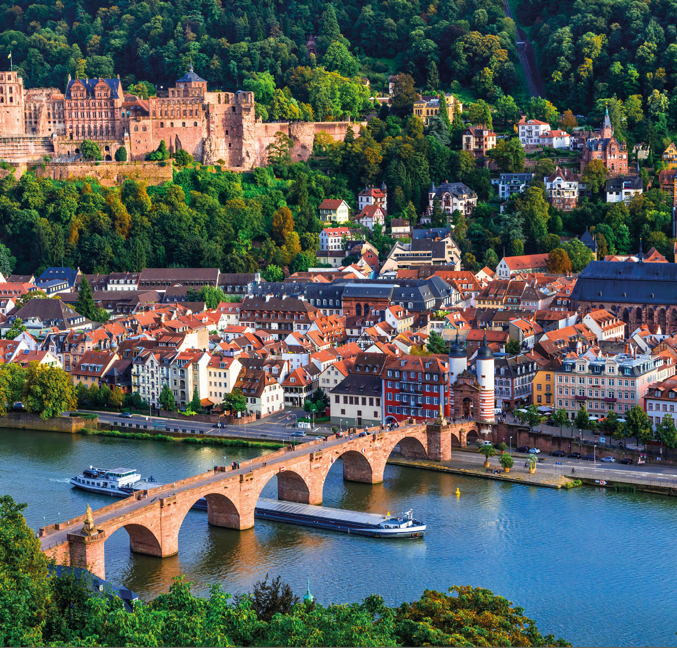 Travel in Germany - cityscape of picturesque historic Heidelberg