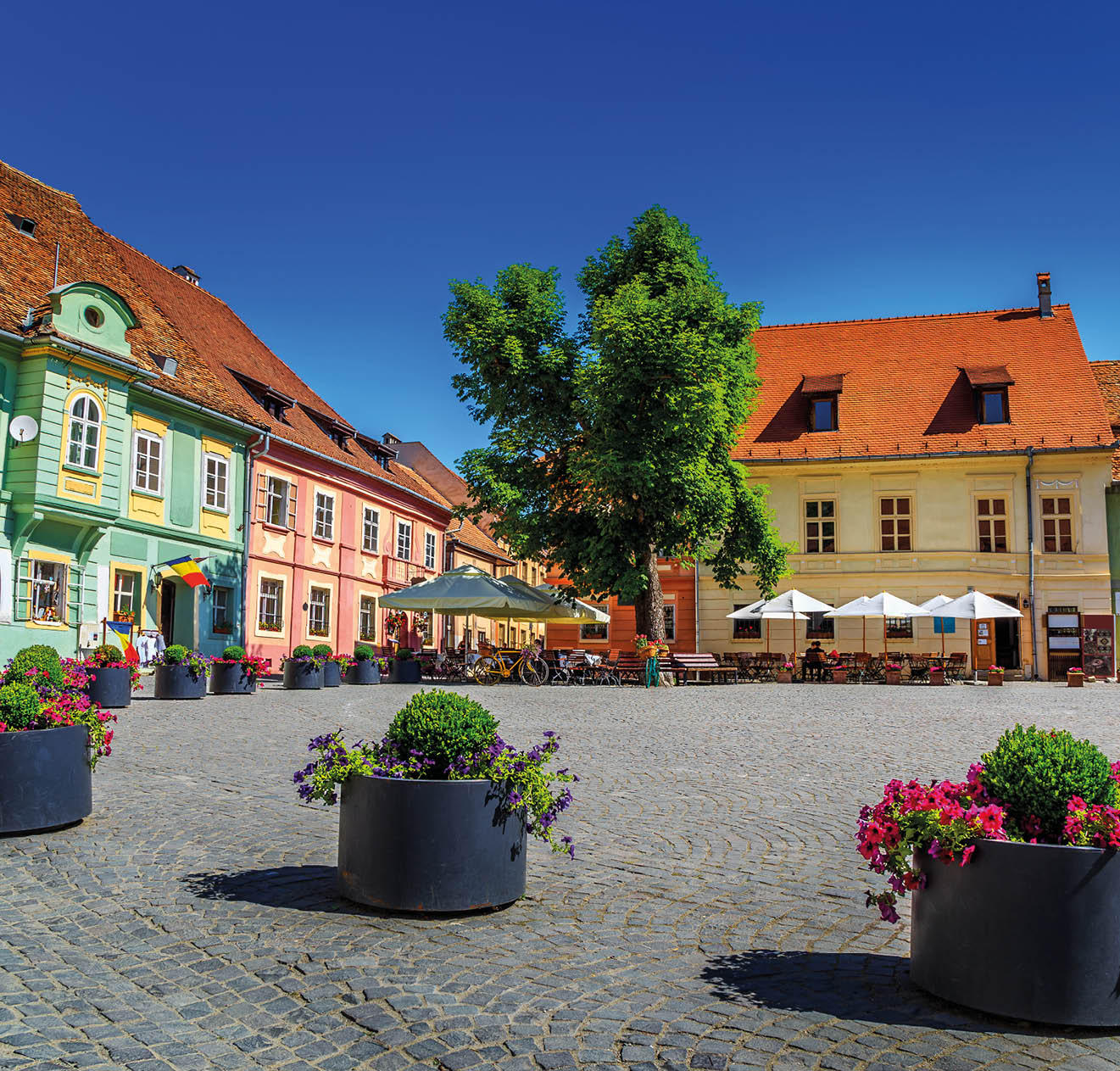 Stone paved old street with cafe bar in city center,Sighisoara fortress,Transylvania,Romania,Europe