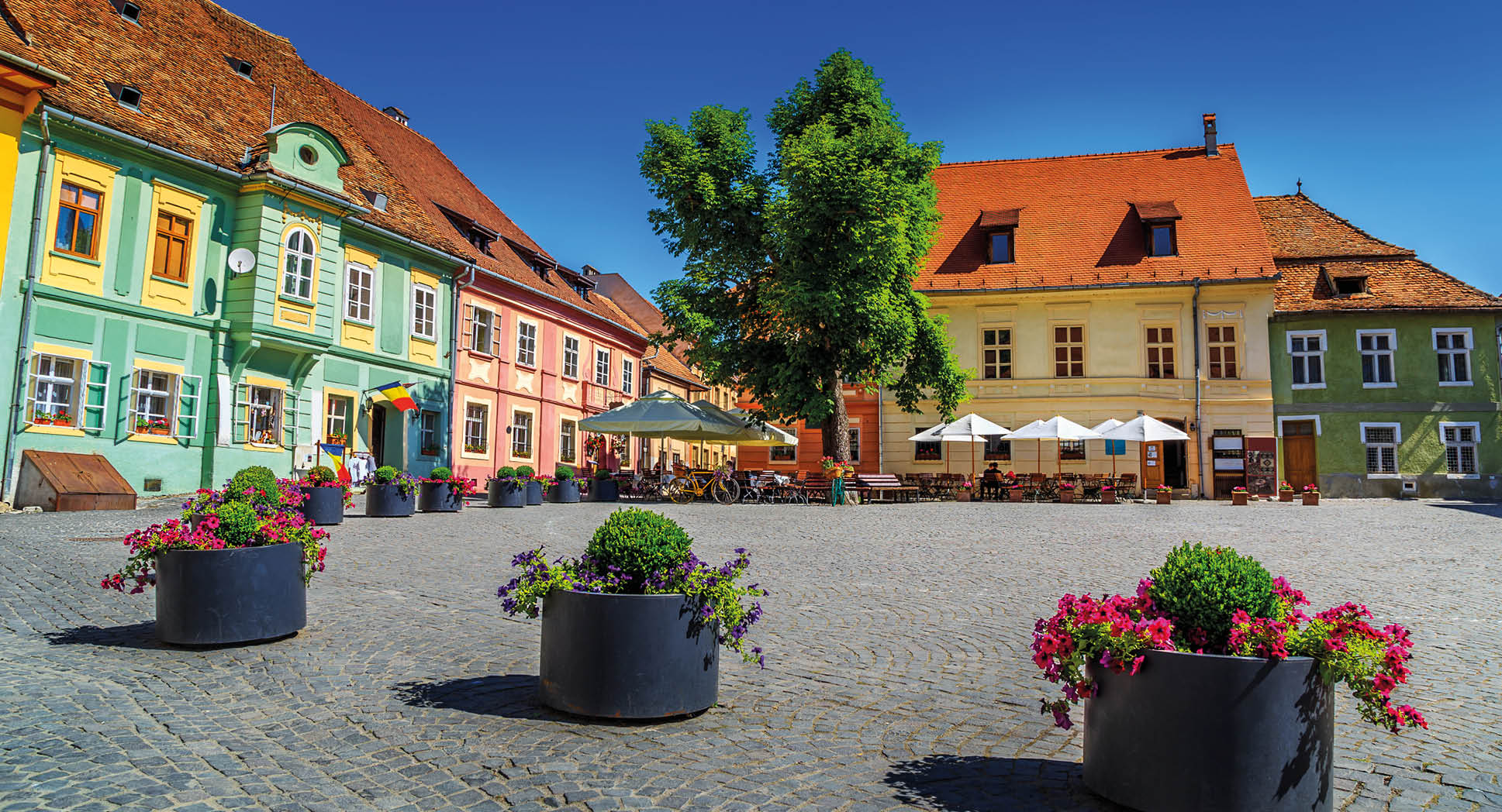 Stone paved old street with cafe bar in city center,Sighisoara fortress,Transylvania,Romania,Europe