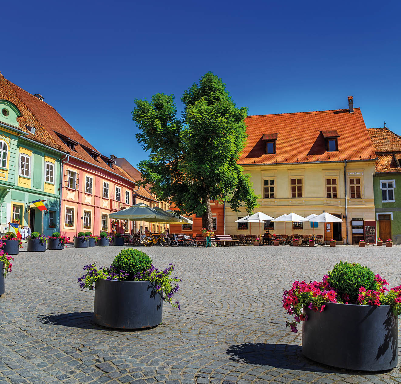 Stone paved old street with cafe bar in city center,Sighisoara fortress,Transylvania,Romania,Europe